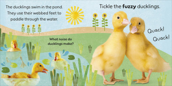 Touch and Feel Farm: With Tactiles for Toddlers to Explore
