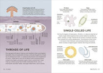 Alternative view 8 of Simply Science