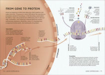 Alternative view 10 of Simply Science