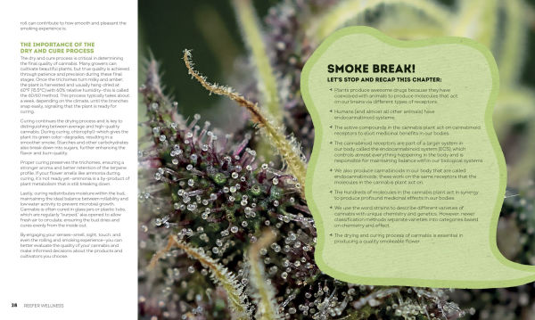 Reefer Wellness: Understanding Cannabis Science, Culture, and Medicine