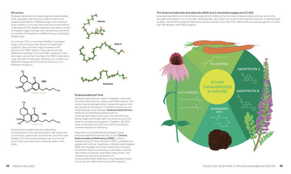 Reefer Wellness: Understanding Cannabis Science, Culture, and Medicine