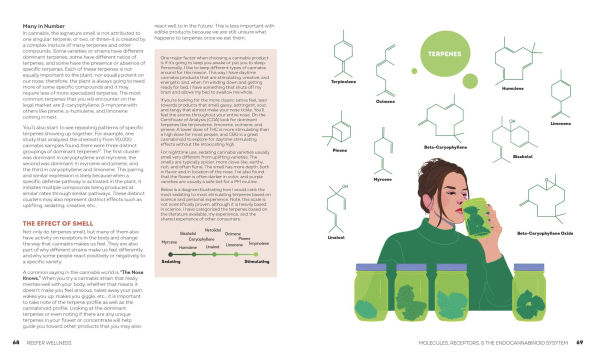 Reefer Wellness: Understanding Cannabis Science, Culture, and Medicine