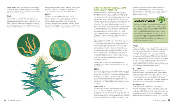 Reefer Wellness: Understanding Cannabis Science, Culture, and Medicine