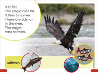 Alternative view 3 of DK Super Readers Pre-level An Eagle's Tale