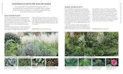 Alternative view 4 of Encyclopedia of Garden Plants for Every Location: An Expert Guide to More Than 3,000 Plants