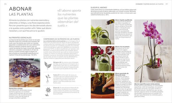 Plantas de interior (Houseplant)