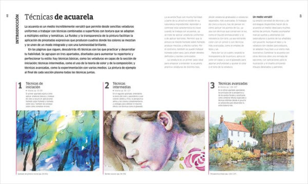 Acuarela (Artist's Watercolor Techniques): Técnicas artisticas