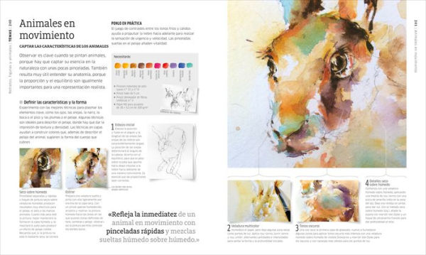Acuarela (Artist's Watercolor Techniques): Técnicas artisticas