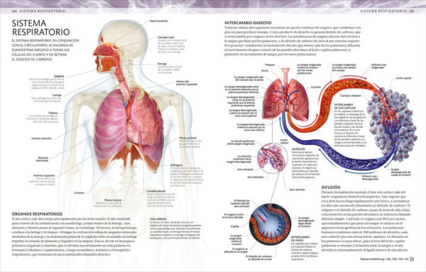 Atlas de anatomía para colorear (The Human Body Coloring Book): Guía de estudio