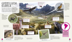 Alternative view 4 of Mi primer atlas de animales (Children's Illustrated Animal Atlas)