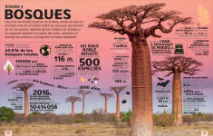 Alternative view 2 of El mundo en números (Our World in Numbers)