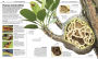 Alternative view 2 of Plantas y hongos (Knowledge Encyclopedia Plants and Fungi!)