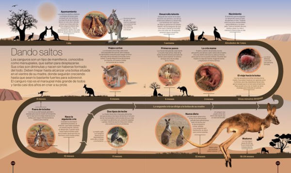 Los ciclos de la naturaleza (Timelines of Nature)