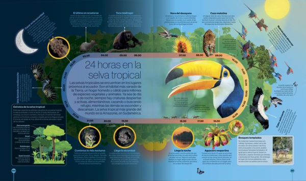 Los ciclos de la naturaleza (Timelines of Nature)