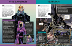 Alternative view 2 of DC Ultimate Character Guide New Edition