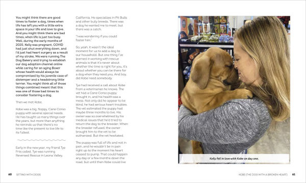 Sitting with Dogs: Stories of Rescue Dogs Going from Lost to Loved