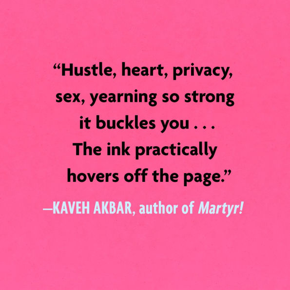 Necessary Fiction: A Novel