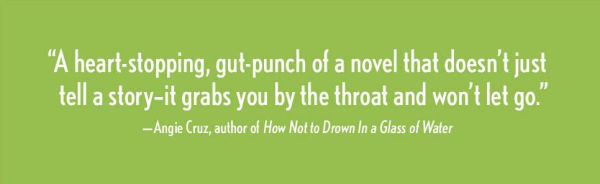 The Grand Paloma Resort: A Novel