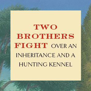 Fox and Furious: A Novel