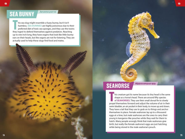 TIME for Kids: Spectacular Sea Creatures: 101 Animals You Need to Know!