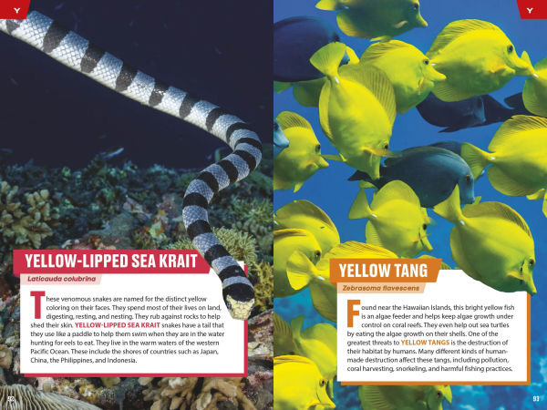 TIME for Kids: Spectacular Sea Creatures: 101 Animals You Need to Know!