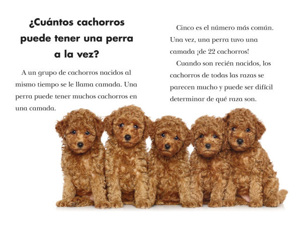 ¿Por qué ladran los perros? (Why Do Dogs Bark? Spanish Edition)