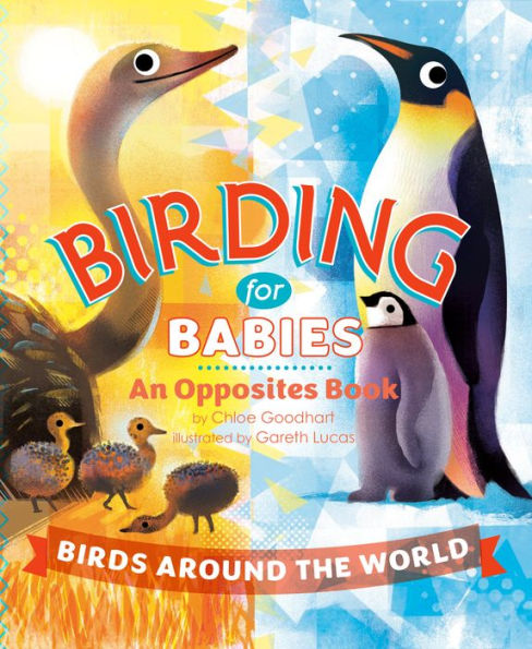 Birding for Babies: Birds Around the World: An Opposites Book