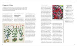 Alternative view 3 of Enciclopedia de plantas medicinales (Encyclopedia of Herbal Medicine)