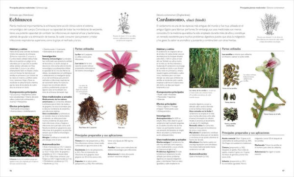 Enciclopedia de plantas medicinales (Encyclopedia of Herbal Medicine)