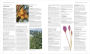 Alternative view 7 of Enciclopedia de plantas medicinales (Encyclopedia of Herbal Medicine)