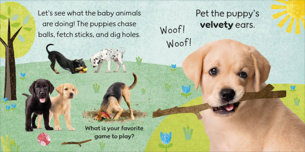 Touch and Feel Baby Animals: With Tactiles for Toddlers to Explore