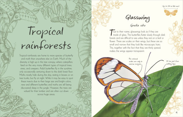 An Anthology of Butterflies and Moths: A Collection Moths from Around the World
