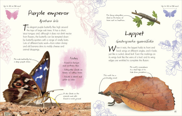 An Anthology of Butterflies and Moths: A Collection Moths from Around the World