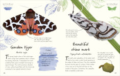 Alternative view 10 of An Anthology of Butterflies and Moths: A Collection of Butterflies and Moths from Around the World