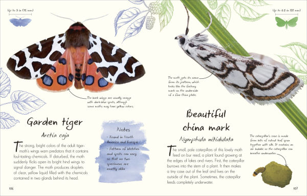 An Anthology of Butterflies and Moths: A Collection Moths from Around the World