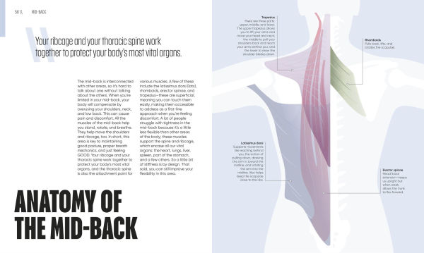 Yoga Fix: Functional Movement for a Pain-Free Body