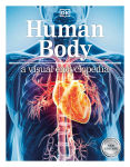 Alternative view 1 of Human Body A Visual Encyclopedia