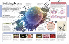 Alternative view 2 of Human Body A Visual Encyclopedia