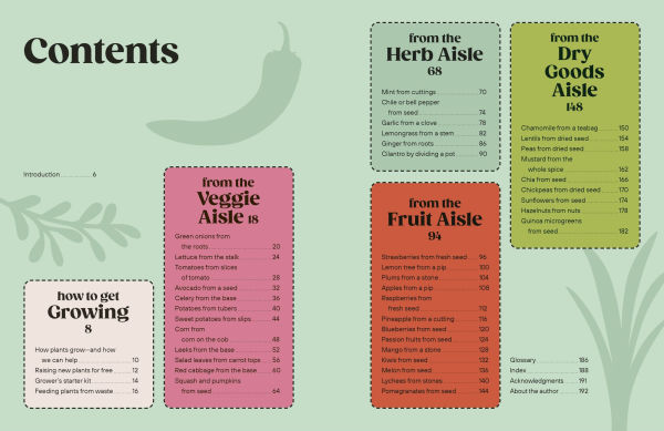 Grow Your Groceries: 40 Hacks for Growing Plants from Supermarket Foods
