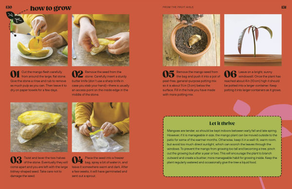 Grow Your Groceries: 40 Hacks for Growing Plants from Supermarket Foods