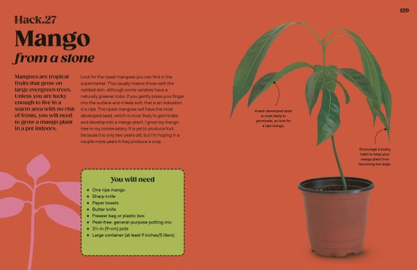 Grow Your Groceries: 40 Hacks for Growing Plants from Supermarket Foods