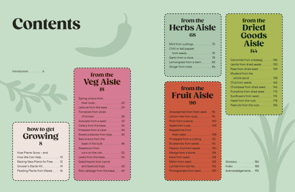Grow Your Groceries: 40 Hacks for Growing Plants from Supermarket Foods