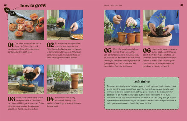 Grow Your Groceries: 40 Hacks for Growing Plants from Supermarket Foods