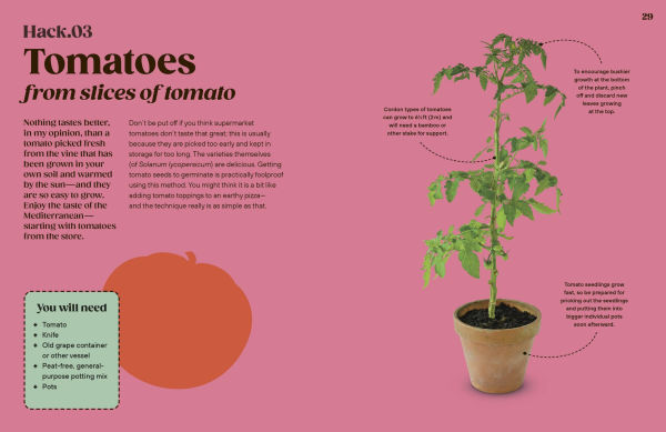 Grow Your Groceries: 40 Hacks for Growing Plants from Supermarket Foods