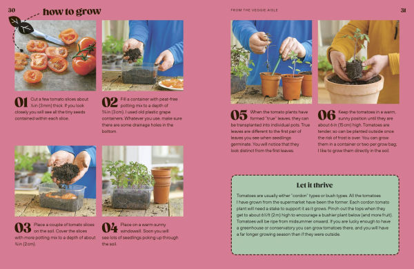 Grow Your Groceries: 40 Hacks for Growing Plants from Supermarket Foods