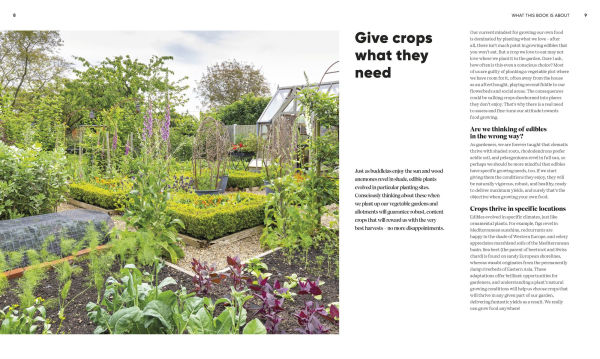 Grow Food Anywhere: How to Plant the Right Crops Places and Help Your Garden Thrive