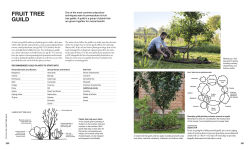 Alternative view 7 of The Permaculture Garden: A Practical Approach to Year-Round Harvests