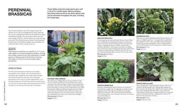 The Permaculture Garden: A Practical Approach to Year-Round Harvests