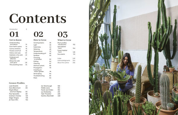 Cacti and Succulents: On-point Advice to Keep Your Plants Looking Sharp