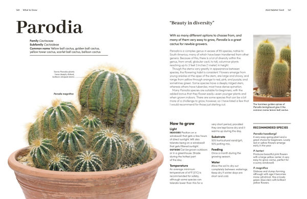 Cacti and Succulents: On-point Advice to Keep Your Plants Looking Sharp